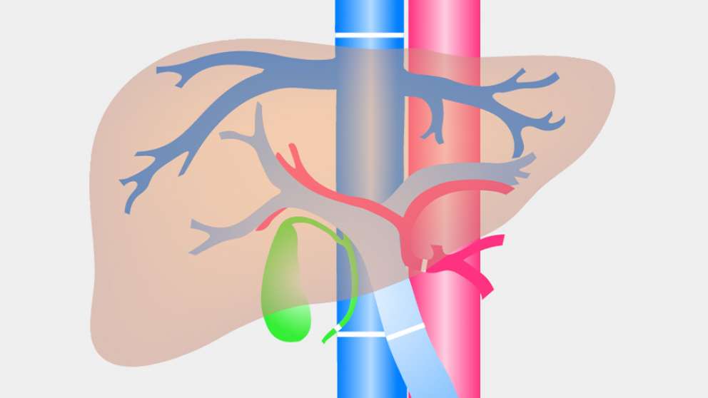 Mistakes In Series Ueg United European Gastroenterology