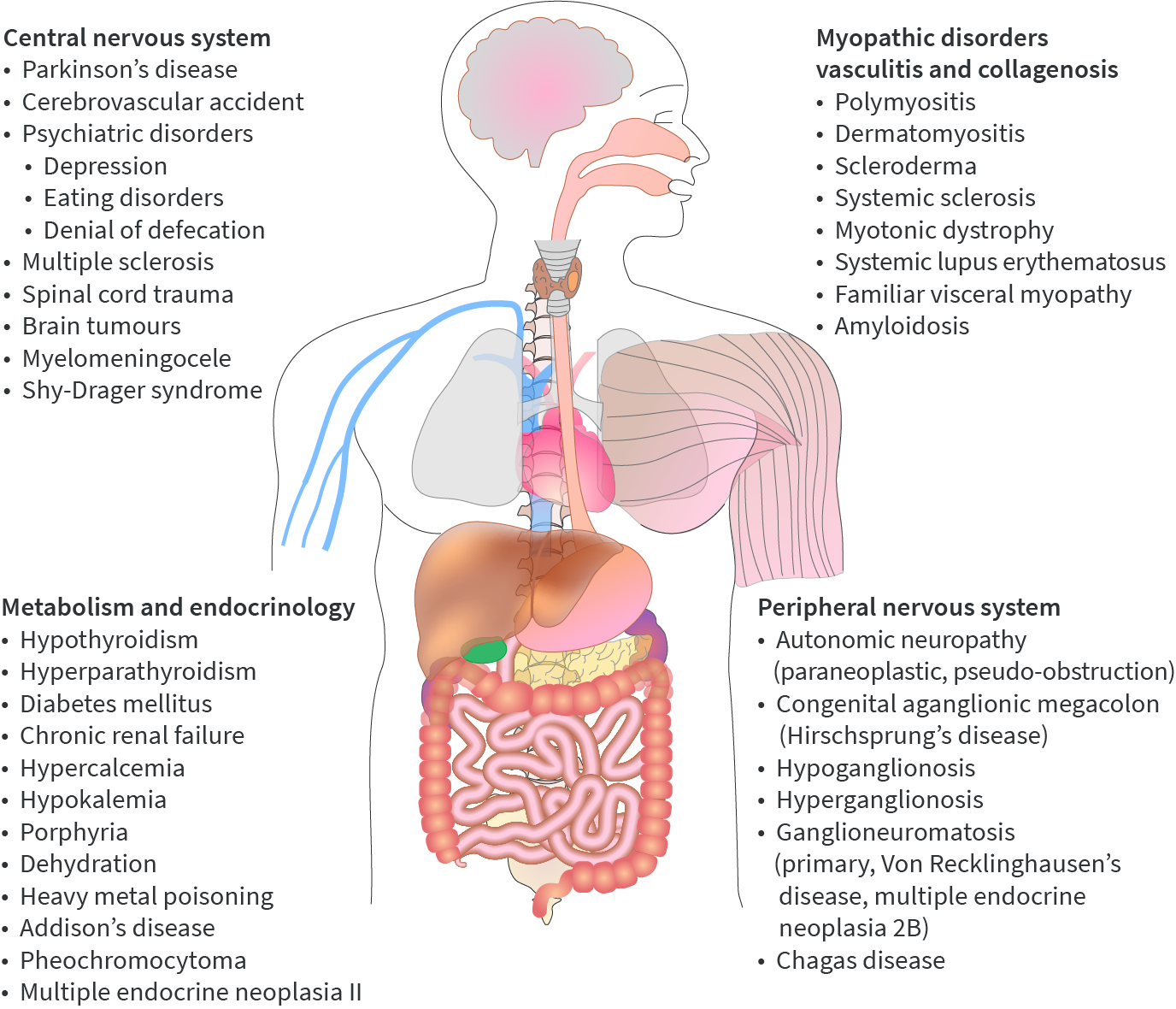 mistakes-in-constipation-and-how-to-avoid-them-ueg-united-european