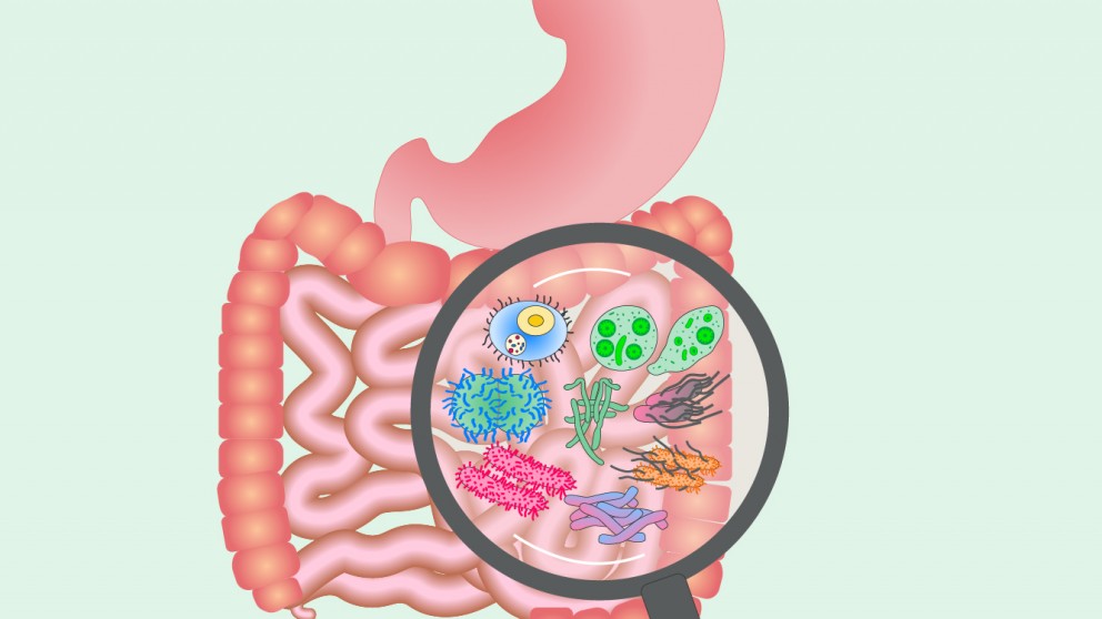 Mistakes in biomarkers for IBD and how to avoid them