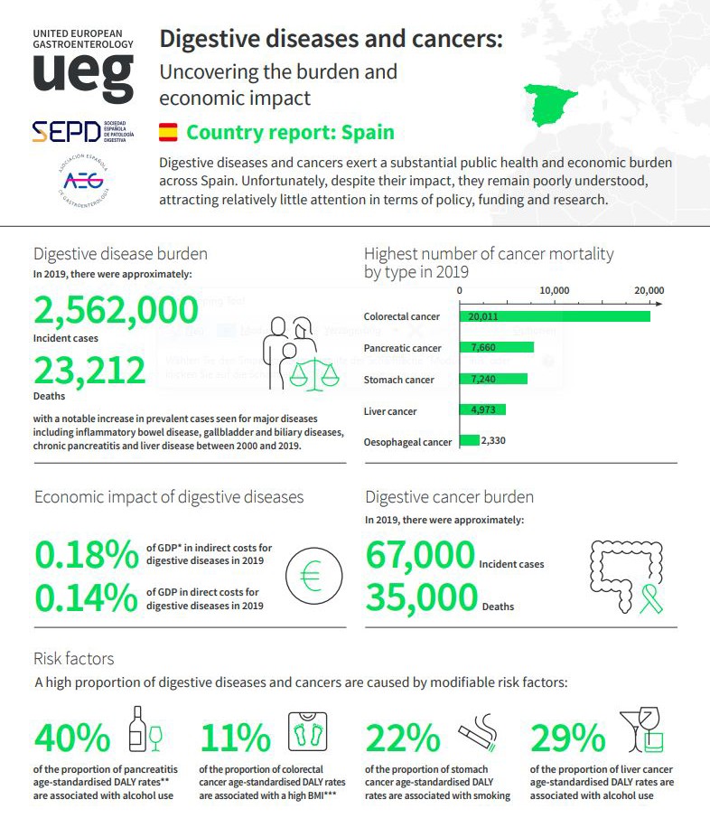 National Factsheet Spain