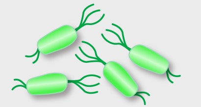 Mistakes in the management of Helicobacter pylori infection and how to avoid them