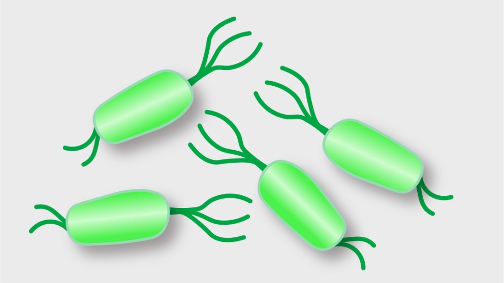 Mistakes in the management of Helicobacter pylori infection and how to avoid them