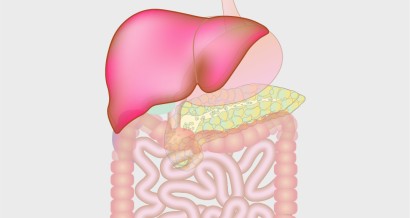 Mistakes in liver function test abnormalities and how to avoid them