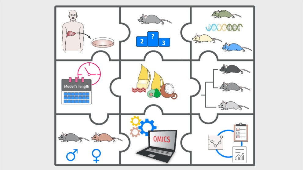 Mistakes in mouse models of nonalcoholic steatophepatitis and how to avoid them