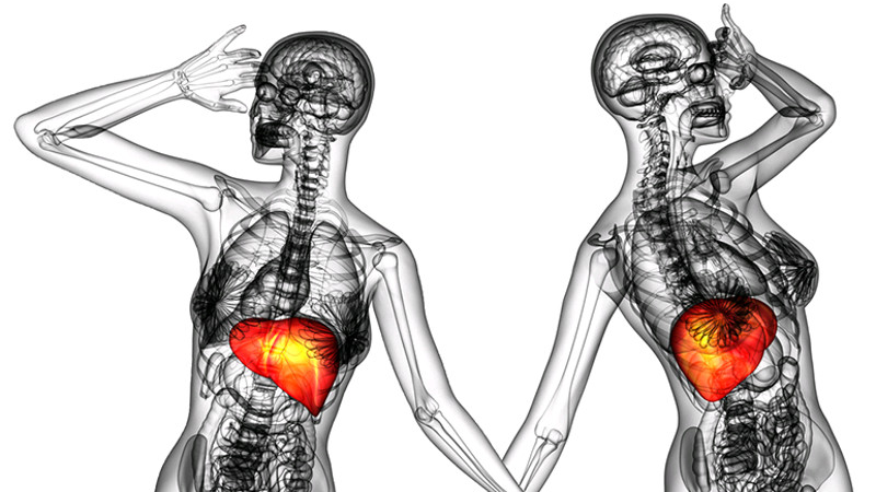 Let’s get physical: Listen to your liver talk!