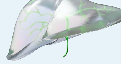 Nutrition and Obesity