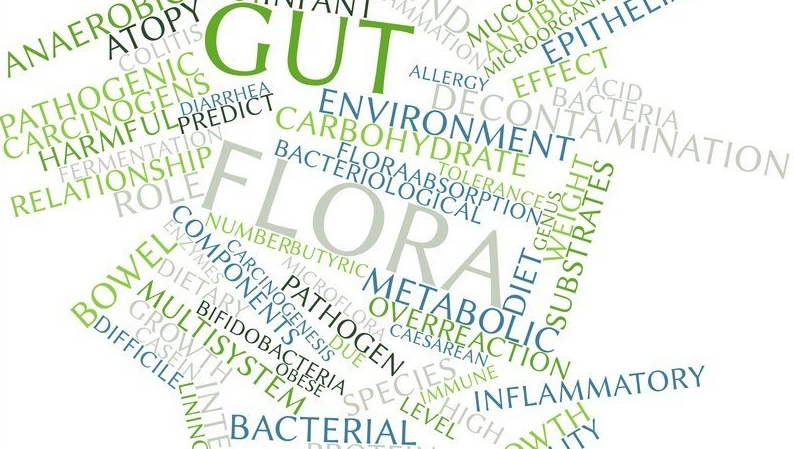 Ruminations on gut fermentation—any link to IBS?