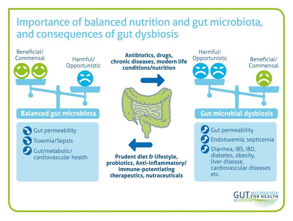 Gut Microbiota | UEG - United European Gastroenterology