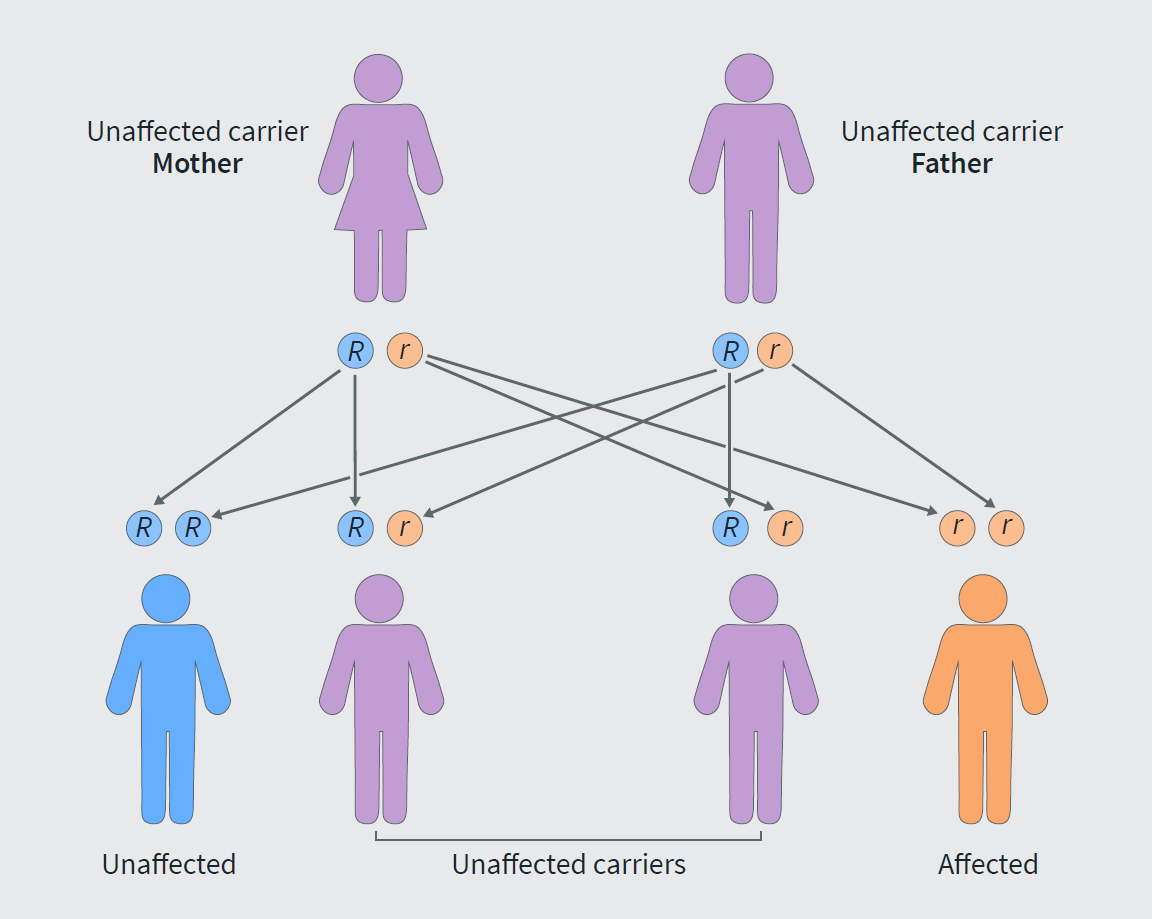 Mistakes in Familial Mediterranean Fever and how to avoid them